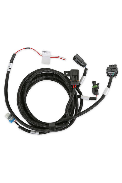 Holley EFI Transmission Harness - T-56 Magnum